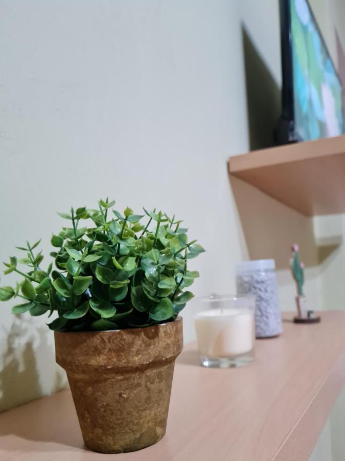 Ex-Block District Charming Studio Apartment With Treeish Sorrounding View! Тирана Екстер'єр фото